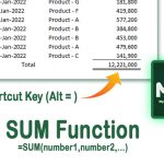 SUM Function