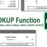 LOOKUP Function